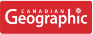 Media Partner